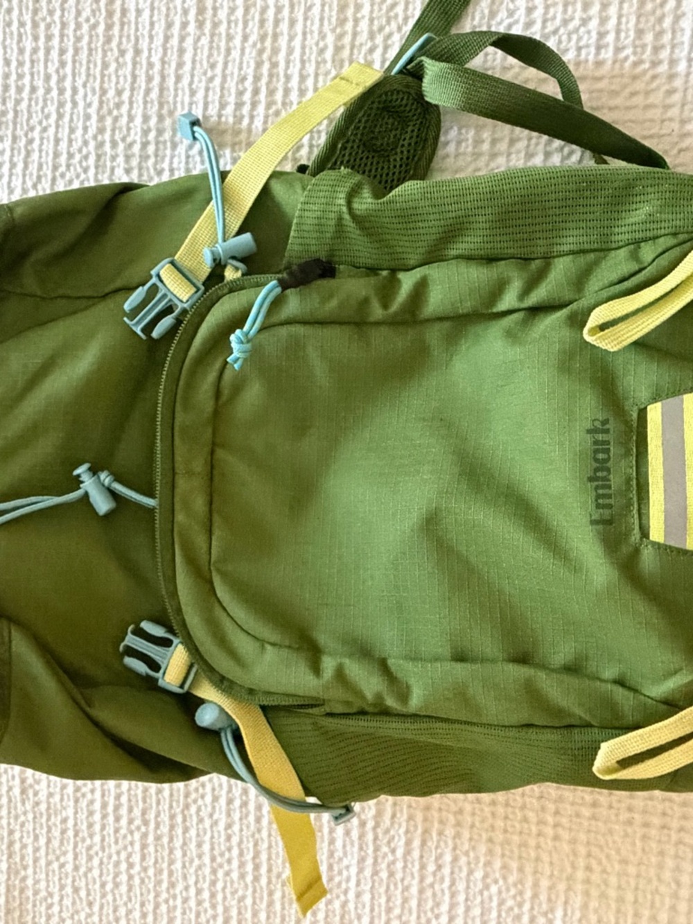 Men's Olive Green Everyday Backpack with Contrast Accents